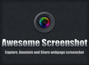 Top 30: Die besten Erweiterungen für Chrome 10 Awesome Screenshot