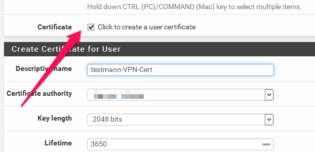 2017 pfsense openvpn benutzer Zertifikat