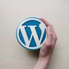 WordPress wird global eingesetzt