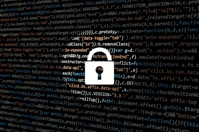 Ransomware im Fokus: Bedrohung, Prävention und Gegenmaßnahmen im digitalen Zeitalter